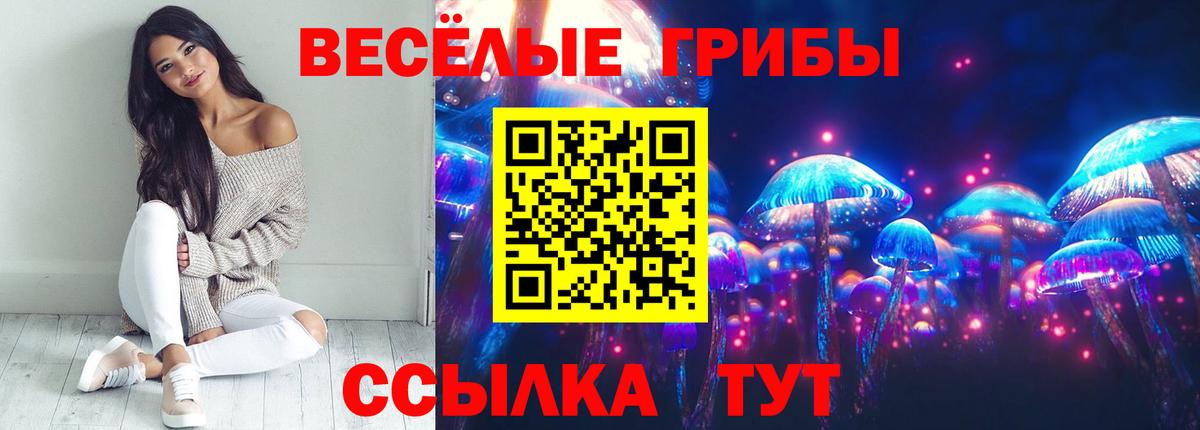 Псилоцибиновые грибы Psilocybine cubensis  Вход с VPN  Лосино-Петровский  Псилоцибиновые грибы GOLDEN TEACHER 
